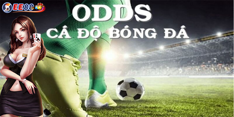 Tỷ lệ Odds | Cách đọc kèo Odds và dành chiến thắng 2024